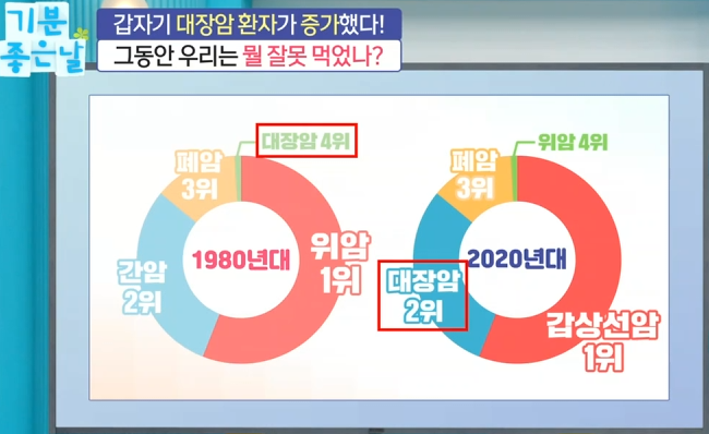 암 예방과 건강한 삶을 위한 실천 방안 4 image 12