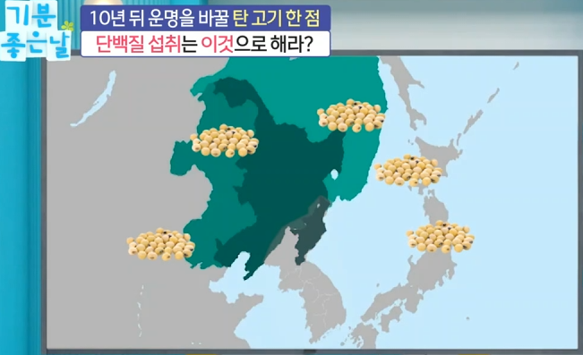 암 예방과 건강한 삶을 위한 실천 방안 7 image 15