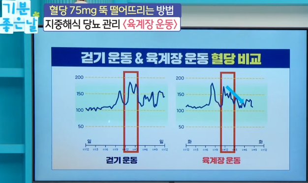 지중해식 당뇨 관리 육계장 운동 6 image 8