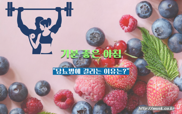 당뇨병에 걸리는 이유는