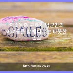 저소득층 구호 대표 이미지