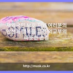 대표 이미지