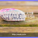 참전유공자 등 지원 대표 이미지
