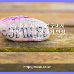 청년월세 지원사업 대표 이미지