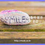 순창군 아이랜드 대표 이미지