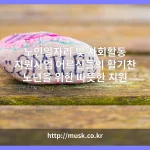 노인일자리 및 사회활동 지원사업 대표 이미지