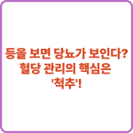 등 썸네일