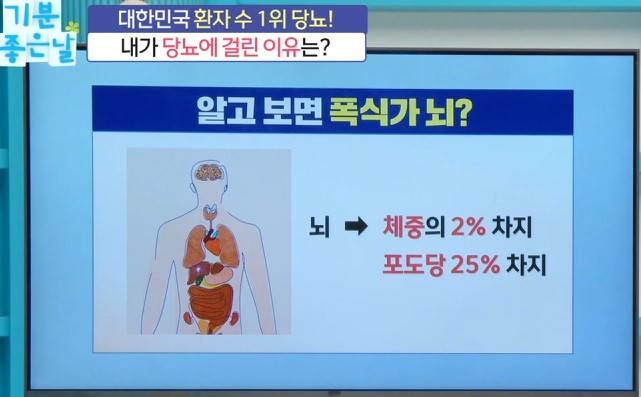 혈당만 잘 관리해도! 노화·치매·만성질환까지 막는 당뇨병 관리법 6 폭식가 뇌