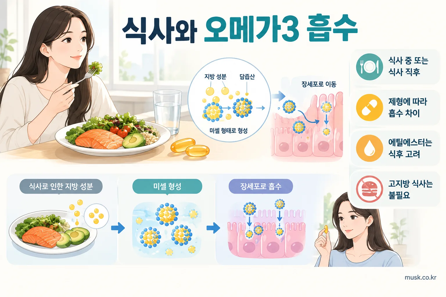 식사와 오메가3 흡수 과정 및 제형별 차이를 설명하는 이미지
