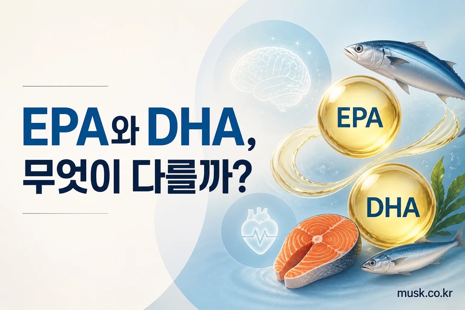 EPA와 DHA의 차이를 비교하는 오메가3 건강 정보 이미지