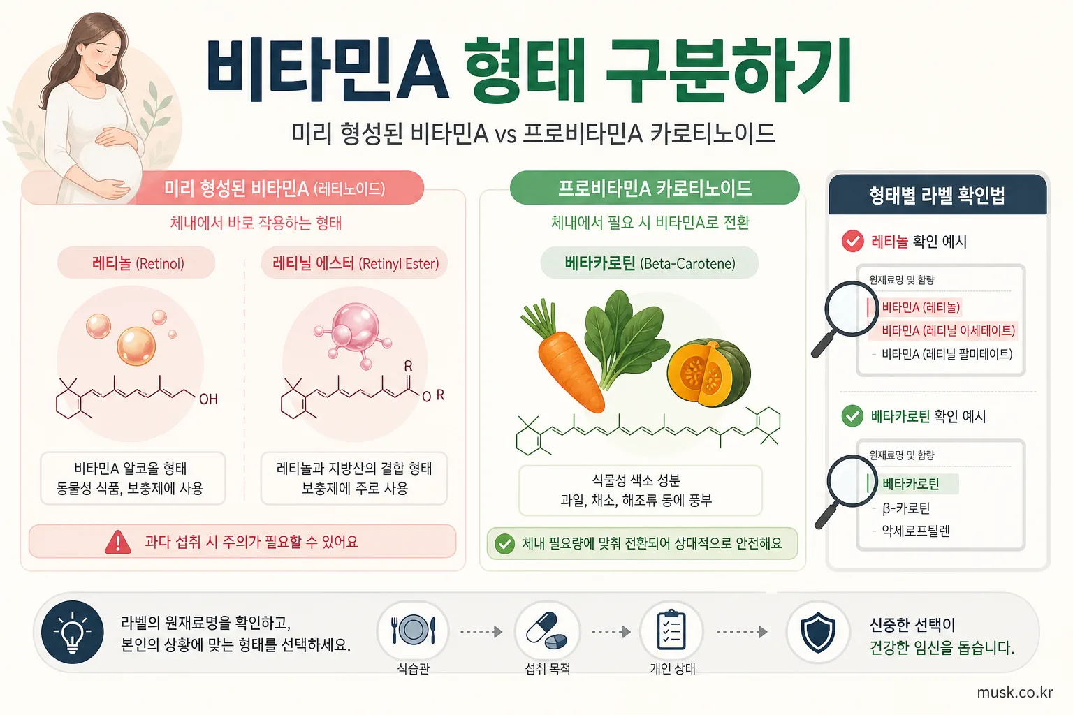 임신 중 비타민A를 먹어도 되나? 레티놀과 베타카로틴 확인법 5 레티놀과 베타카로틴 등 비타민A 형태를 비교한 인포그래픽