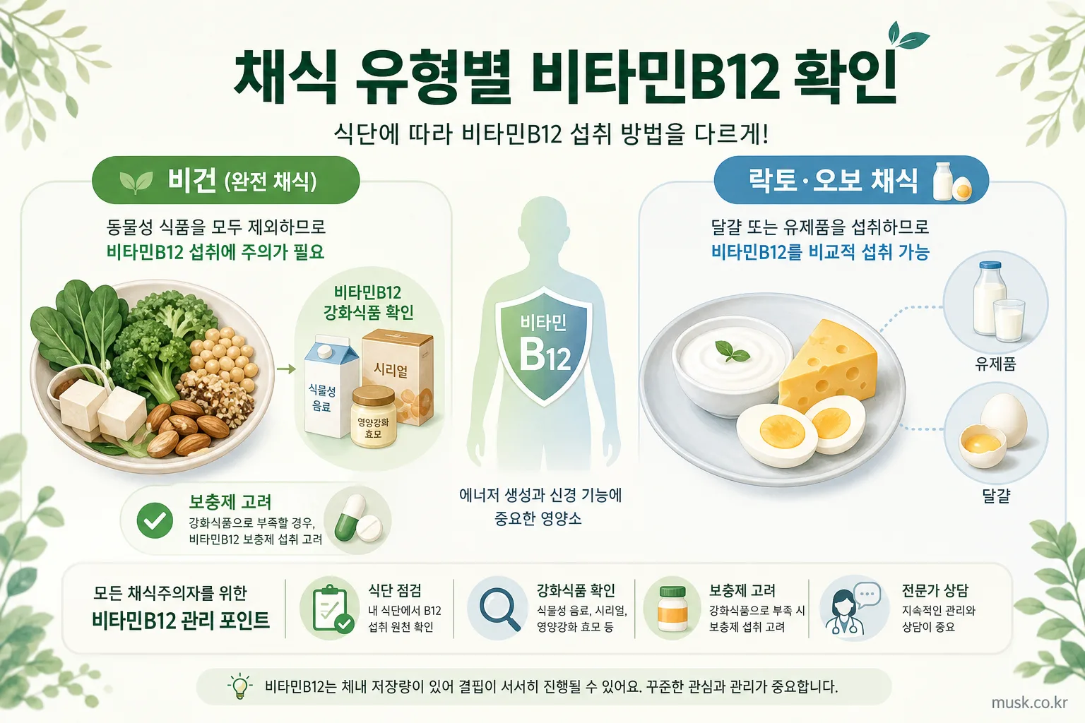채식하는 사람은 비타민B12를 보충해야 하나? 5 비건과 락토·오보 채식의 비타민B12 공급 차이를 비교한 인포그래픽