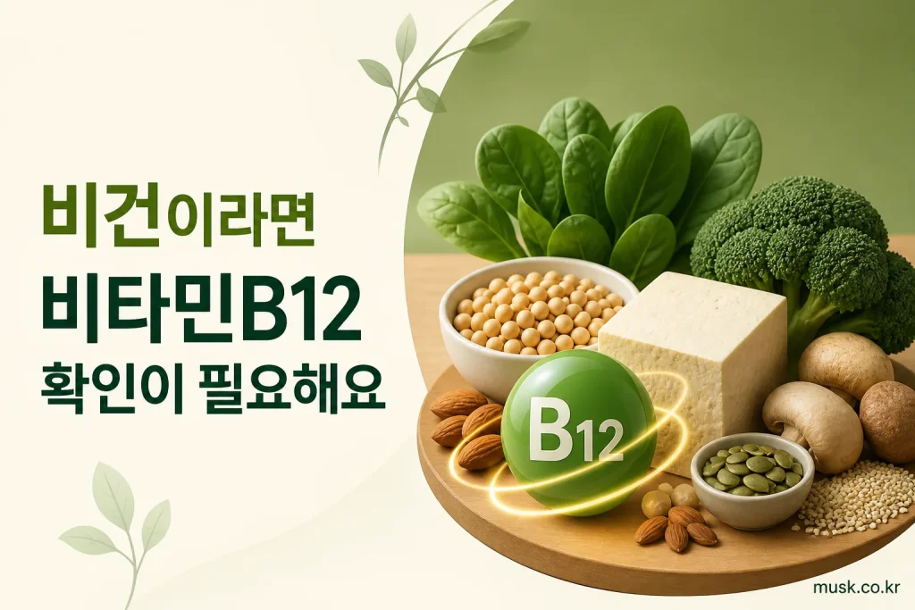 비건 식단에서 비타민B12 강화식품과 보충제 필요성을 설명하는 이미지