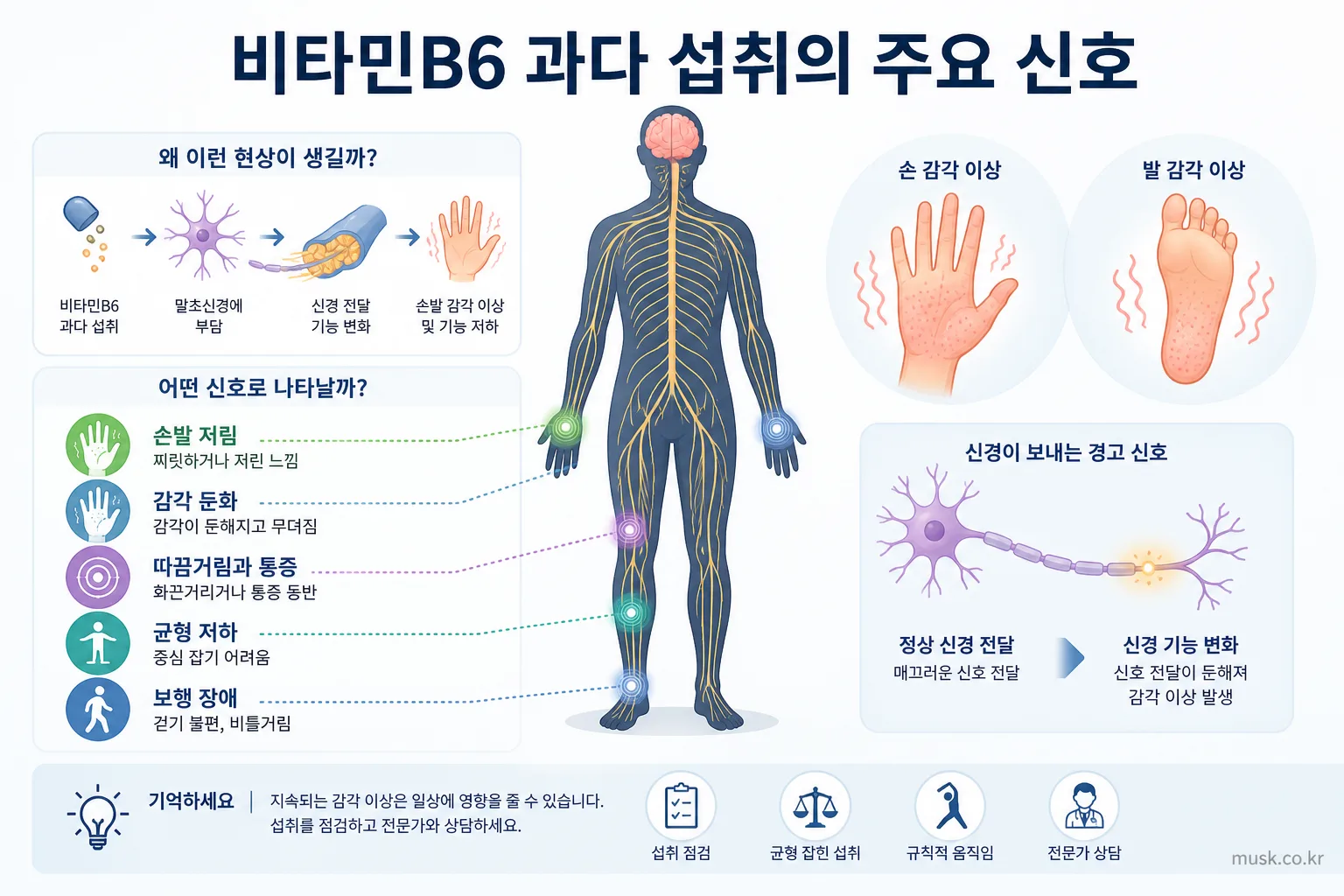 비타민B6를 많이 먹으면 생길 수 있는 문제는 무엇일까 2 비타민B6 과다 섭취와 관련해 보고된 손발 저림과 균형 저하 증상
