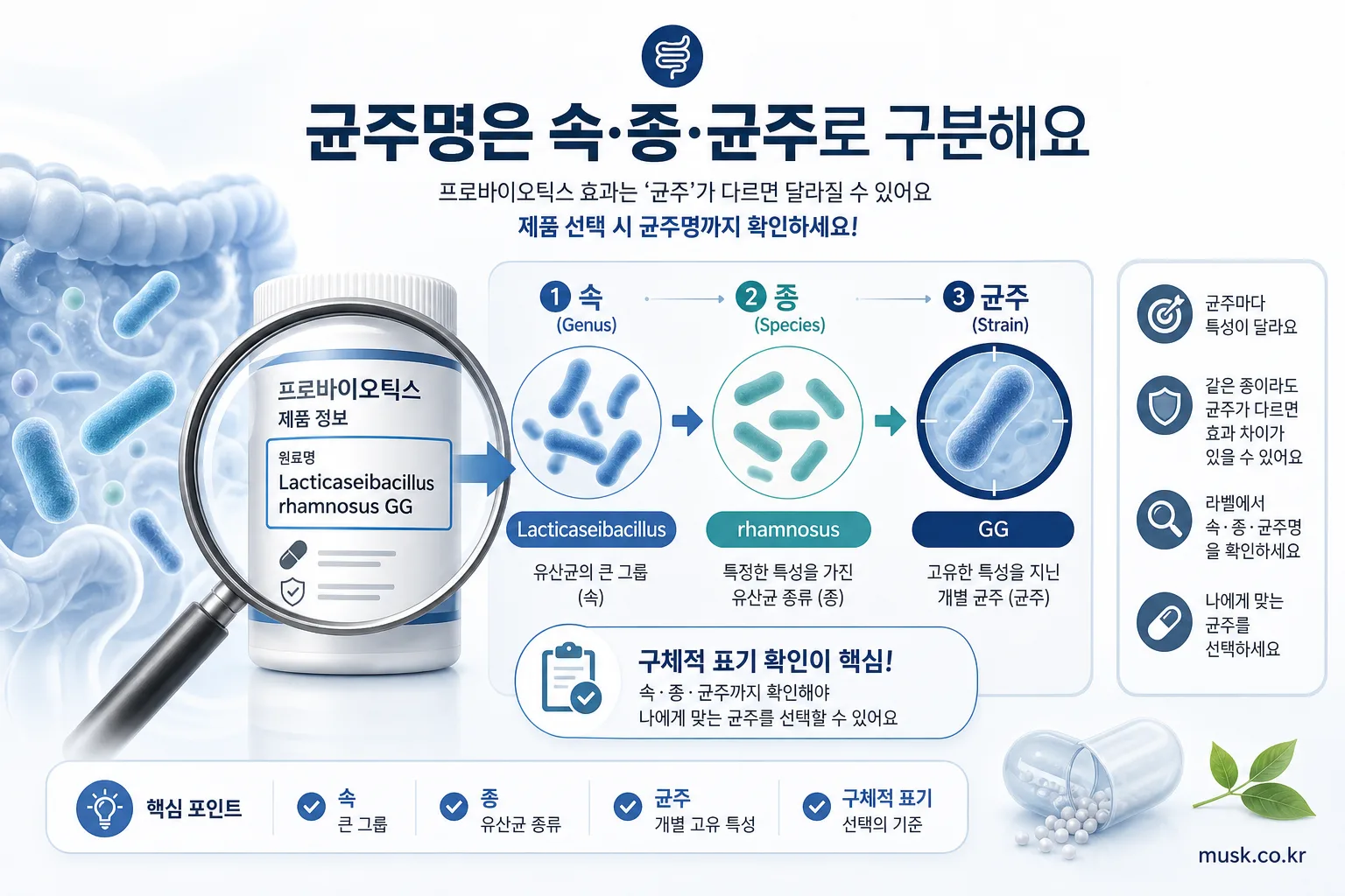 프로바이오틱스 라벨에서 속 종 균주명을 구분해 확인하는 설명 이미지