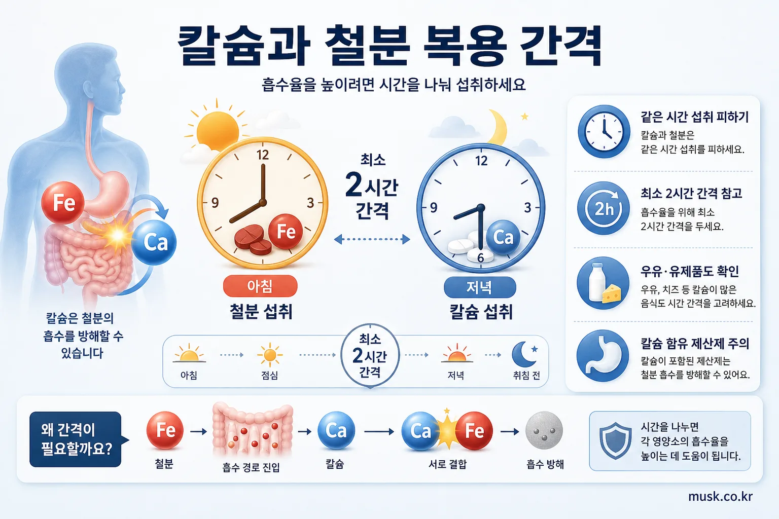 칼슘과 철분 같이 먹어도 되나? 흡수에 미치는 영향과 복용 간격 5 철분과 칼슘 보충제 및 유제품의 복용 간격을 설명하는 이미지