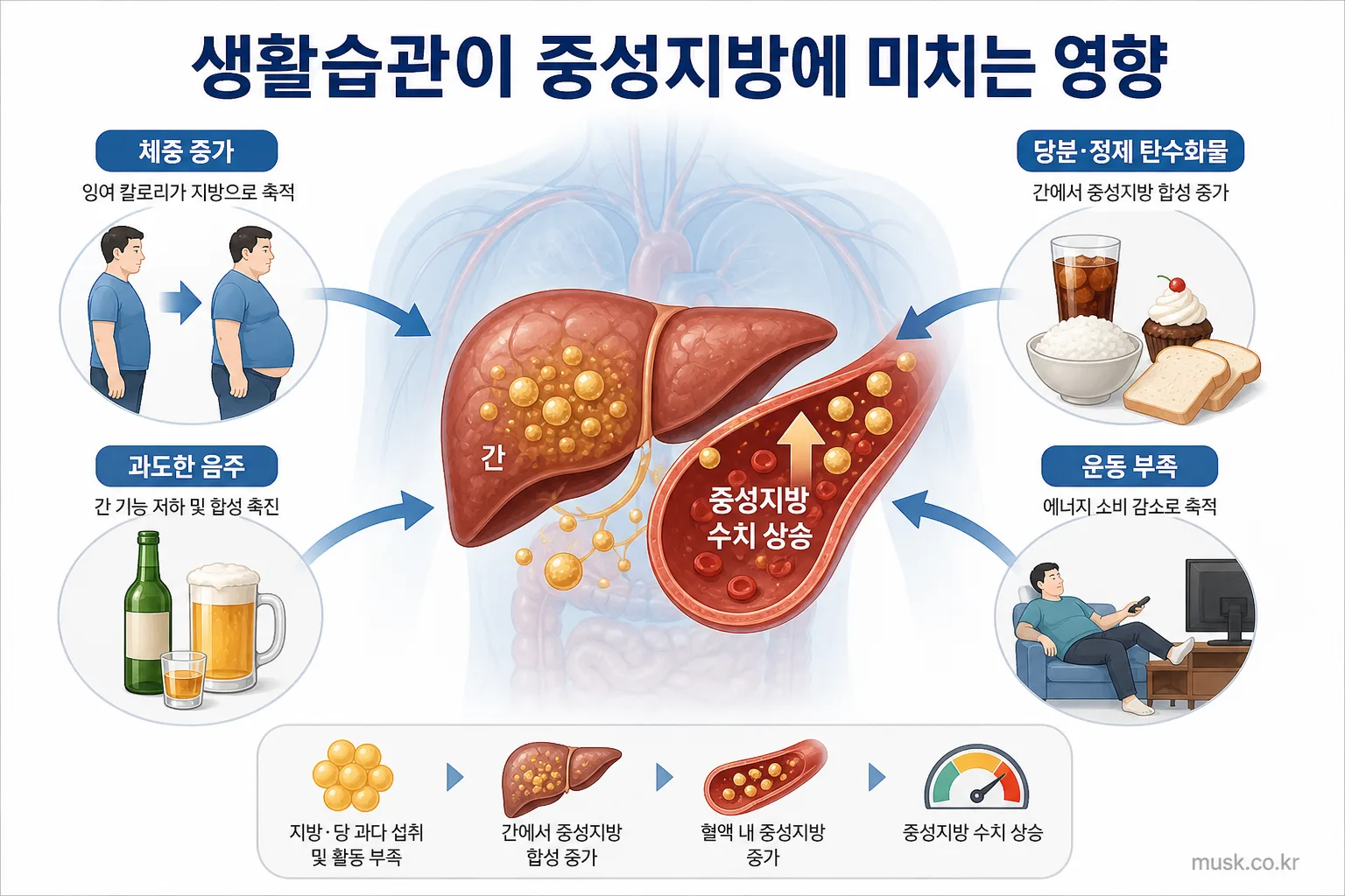 체중 증가와 당분 섭취, 음주, 운동 부족 등 중성지방 상승과 관련된 생활습관