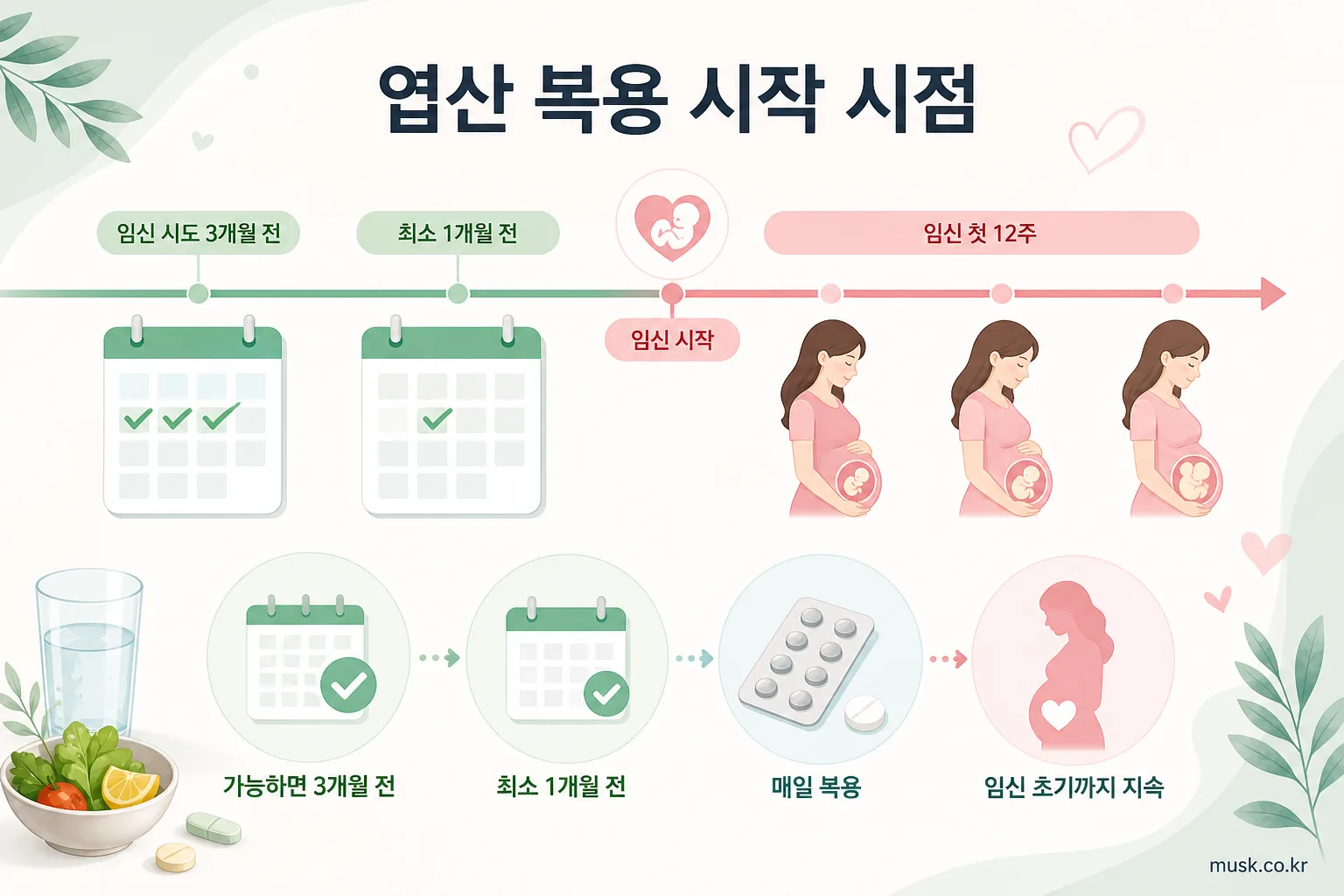 임신 준비 중 엽산은 언제부터 먹어야 할까 2 임신 시도 전부터 임신 초기까지의 엽산 복용 시점을 나타낸 달력 인포그래픽
