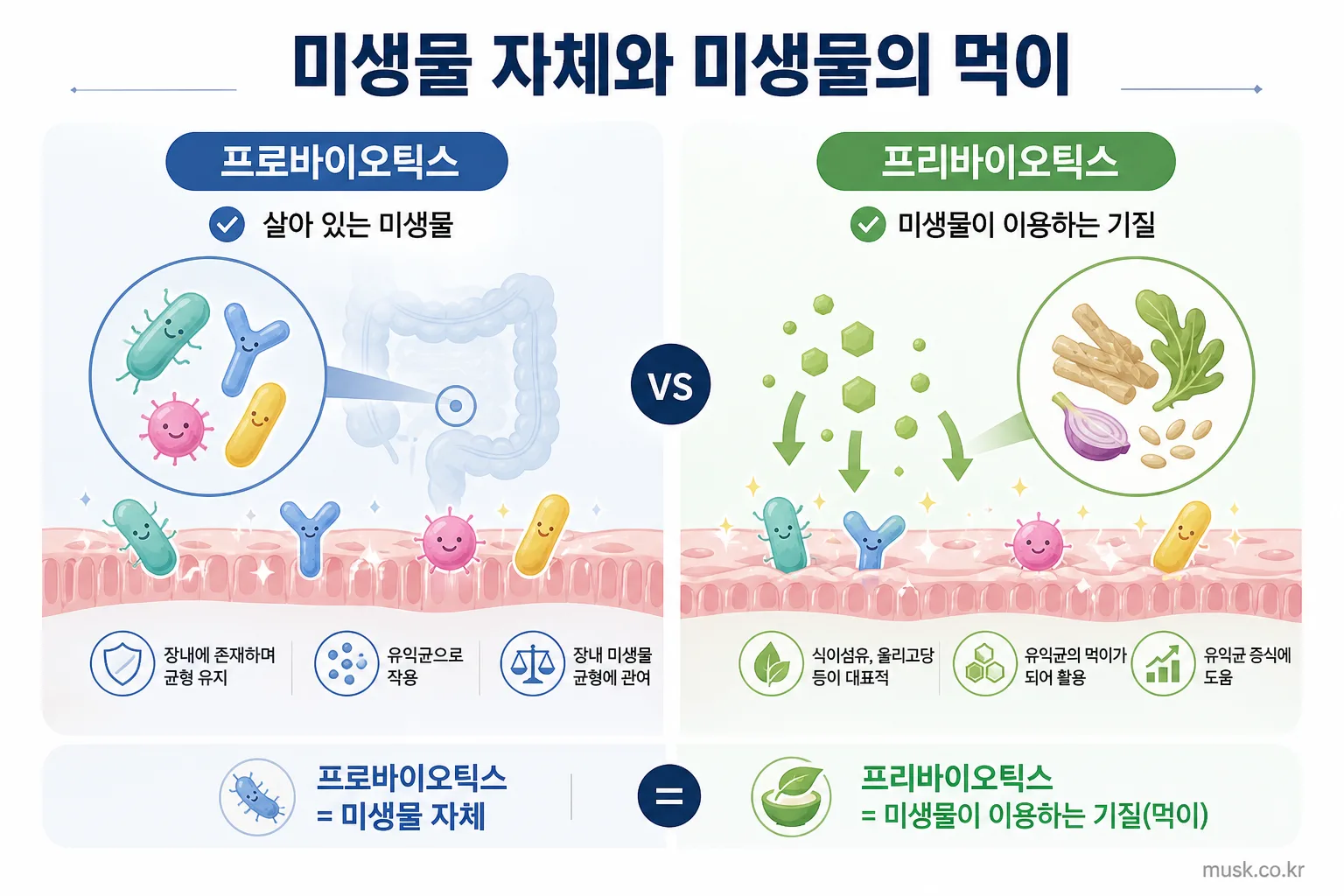 프로바이오틱스는 미생물 자체이고 프리바이오틱스는 미생물이 이용하는 기질임을 보여주는 이미지