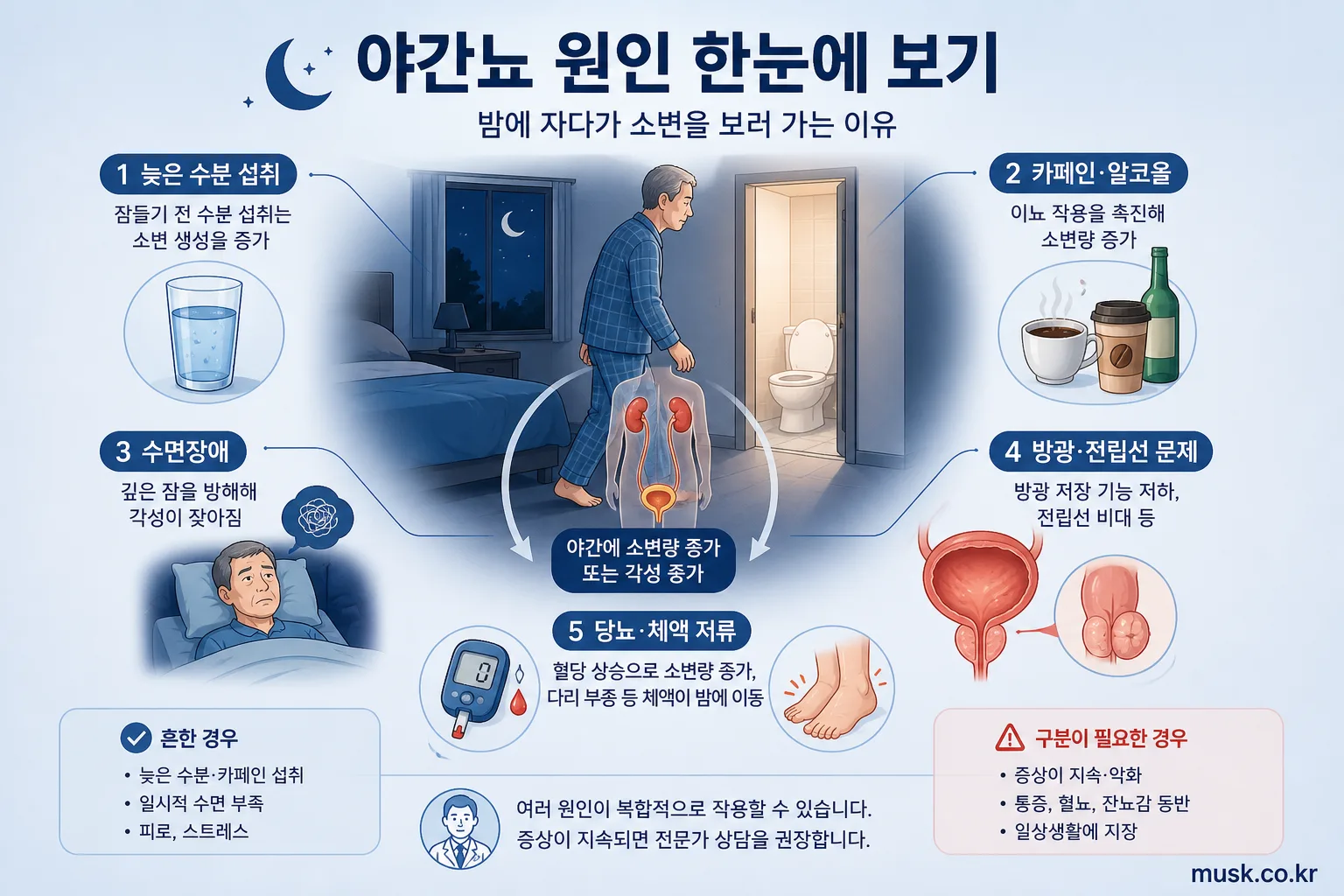 밤에 자다가 소변을 보러 가는 이유, 야간뇨가 생기는 원인 2 늦은 수분 섭취와 방광 문제 등 야간뇨의 다양한 원인