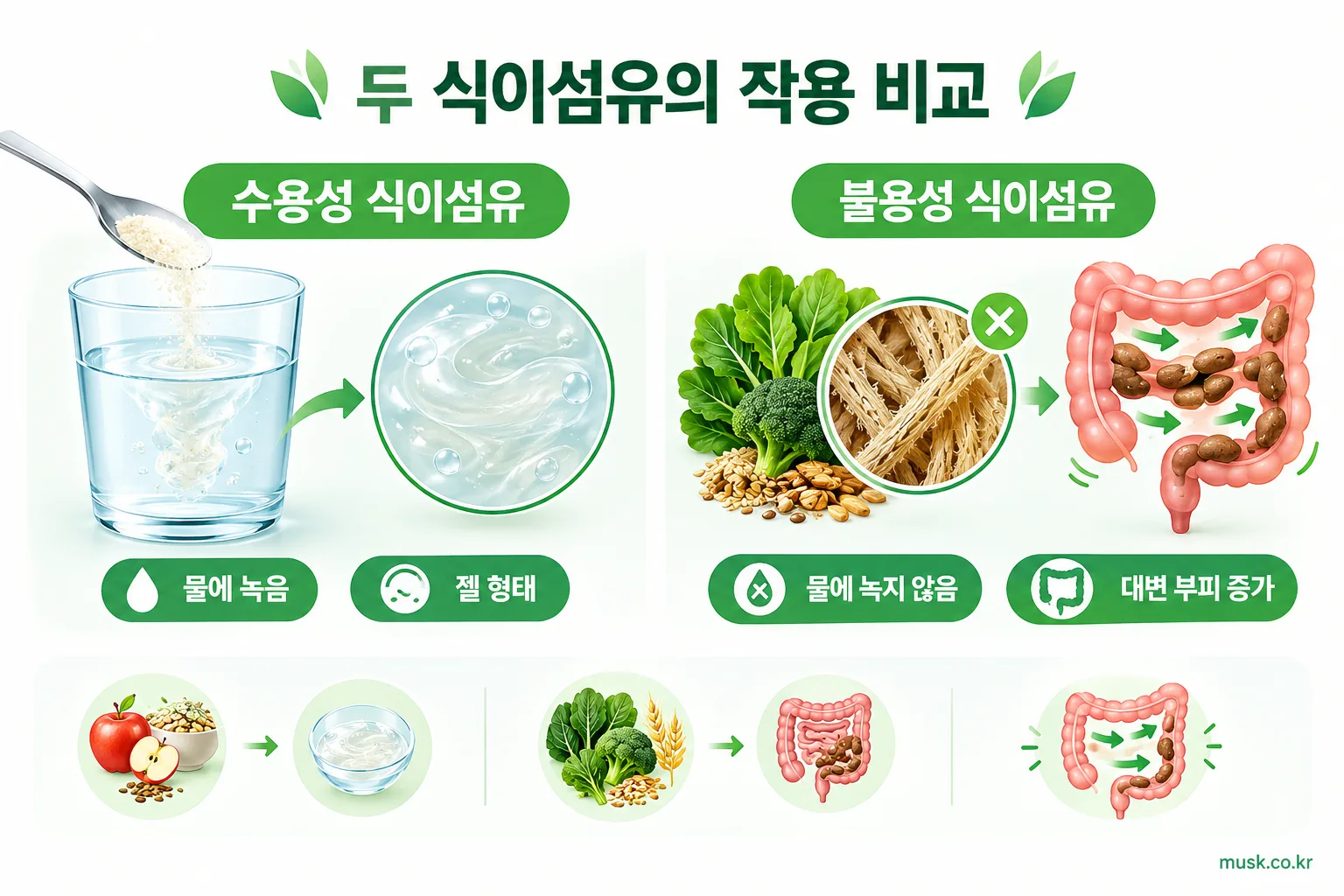 수용성 식이섬유와 불용성 식이섬유는 어떻게 다를까 2 물에 녹는 수용성 식이섬유와 물에 녹지 않는 불용성 식이섬유의 작용 비교