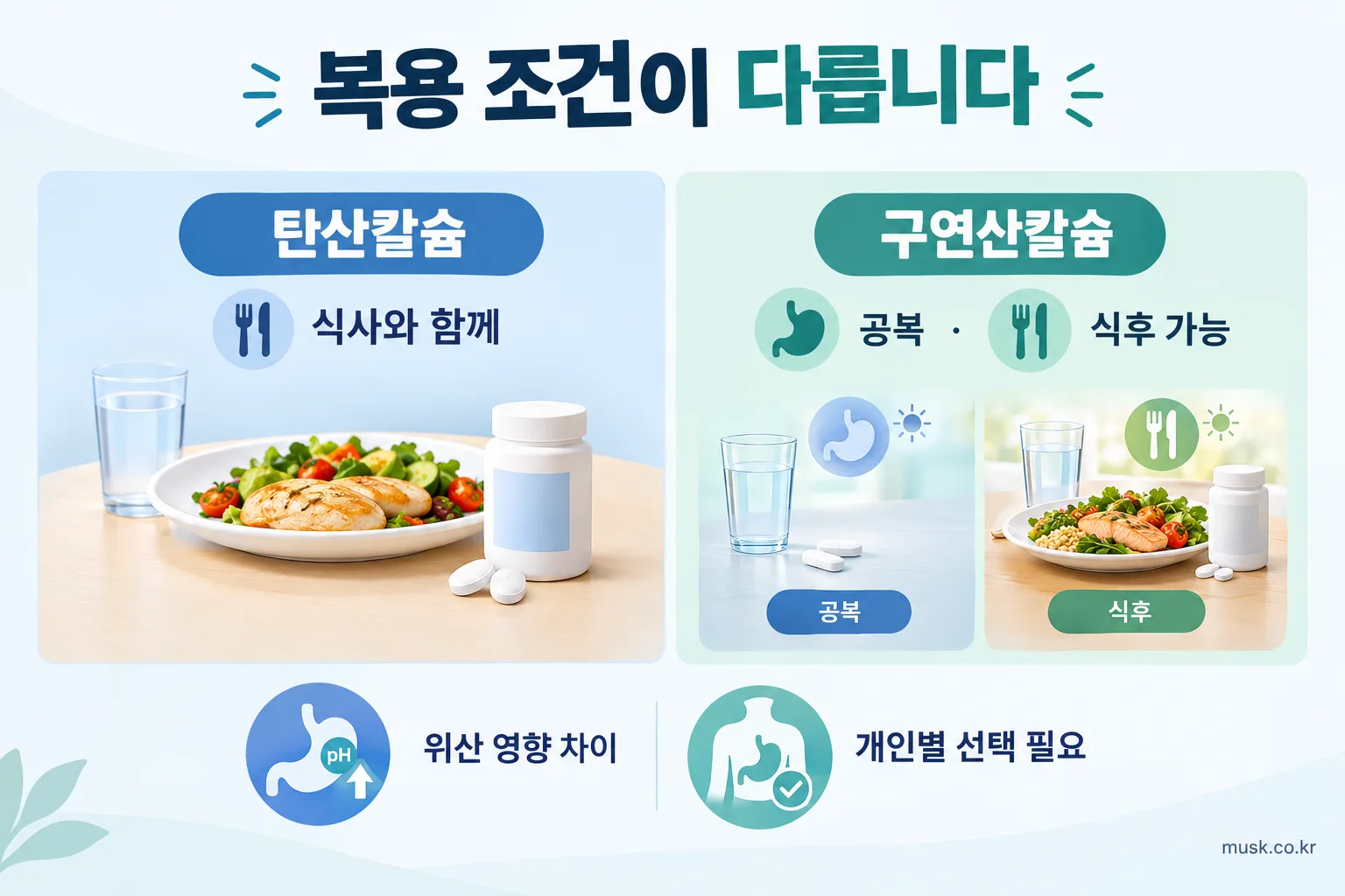 탄산칼슘은 식사와 함께 구연산칼슘은 공복이나 식후 복용할 수 있음을 보여주는 이미지