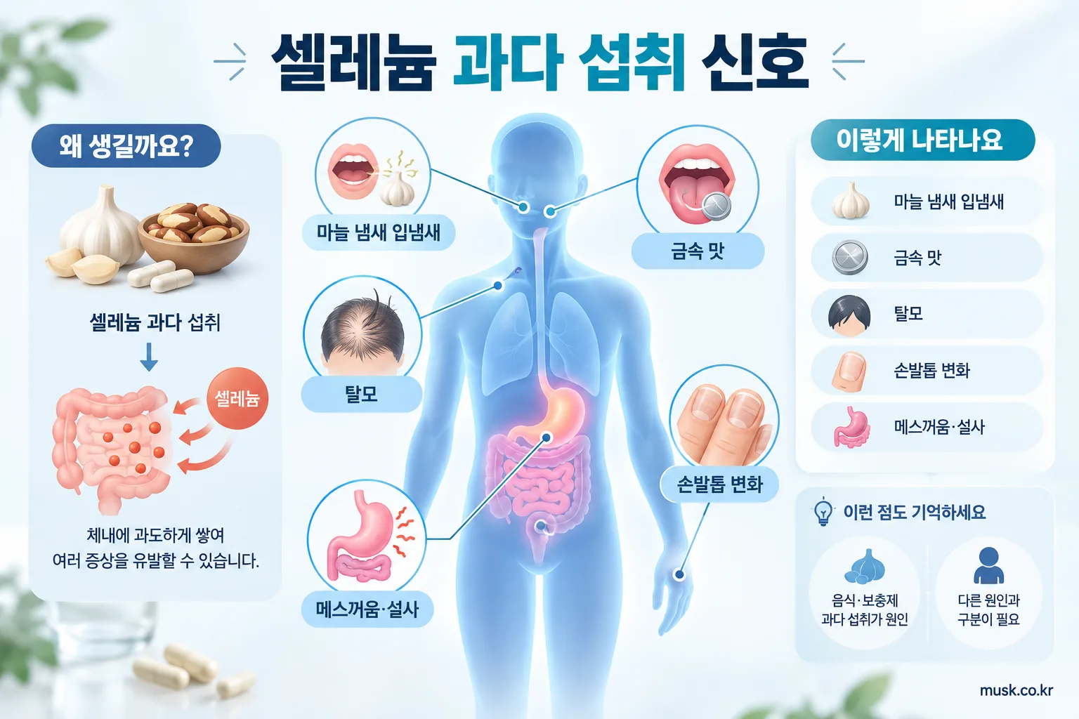 셀레늄 과다 섭취 시 나타날 수 있는 입냄새와 탈모, 손발톱 변화 안내 이미지
