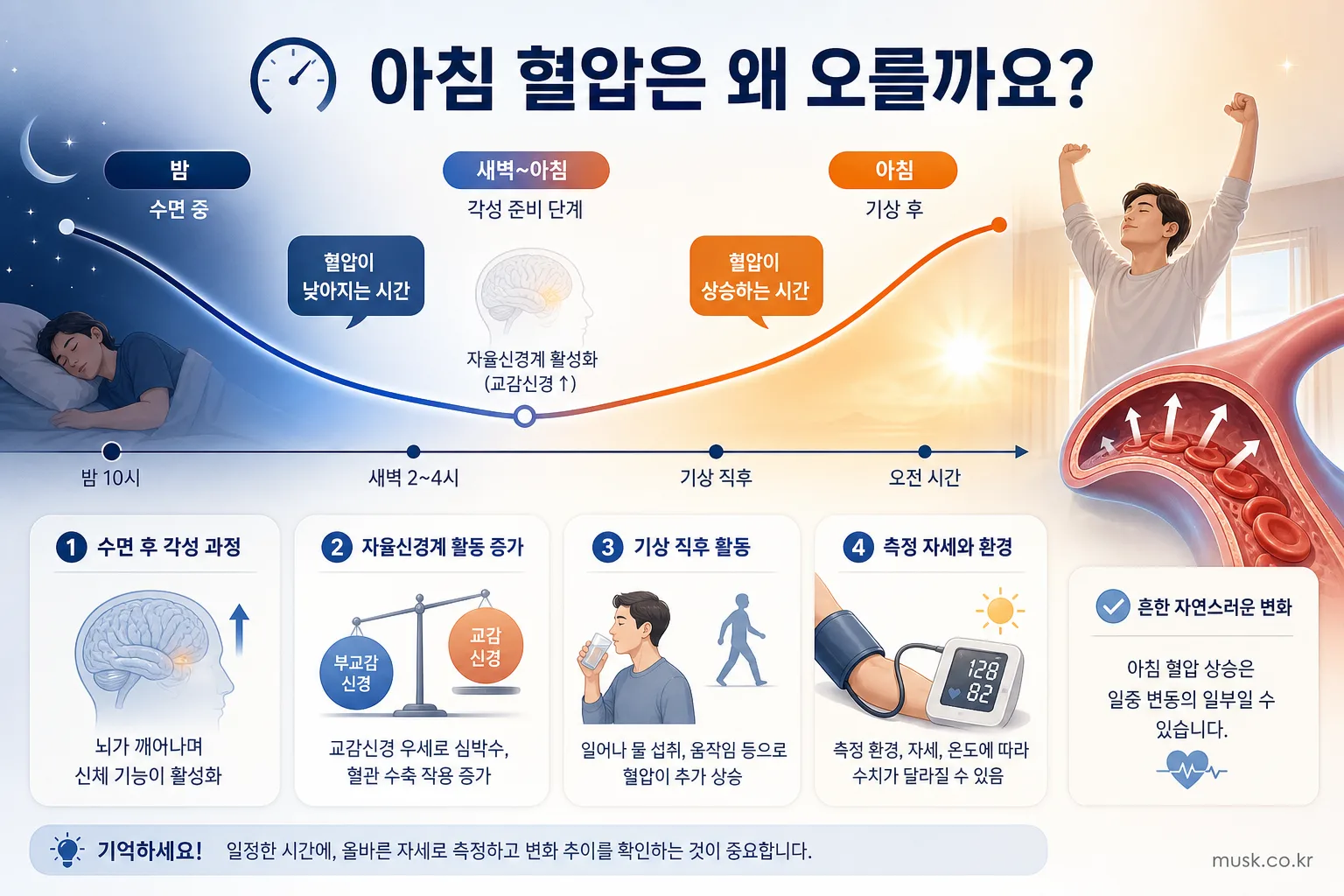 수면에서 깨어나는 과정과 아침 혈압의 일중 변동을 설명하는 인포그래픽