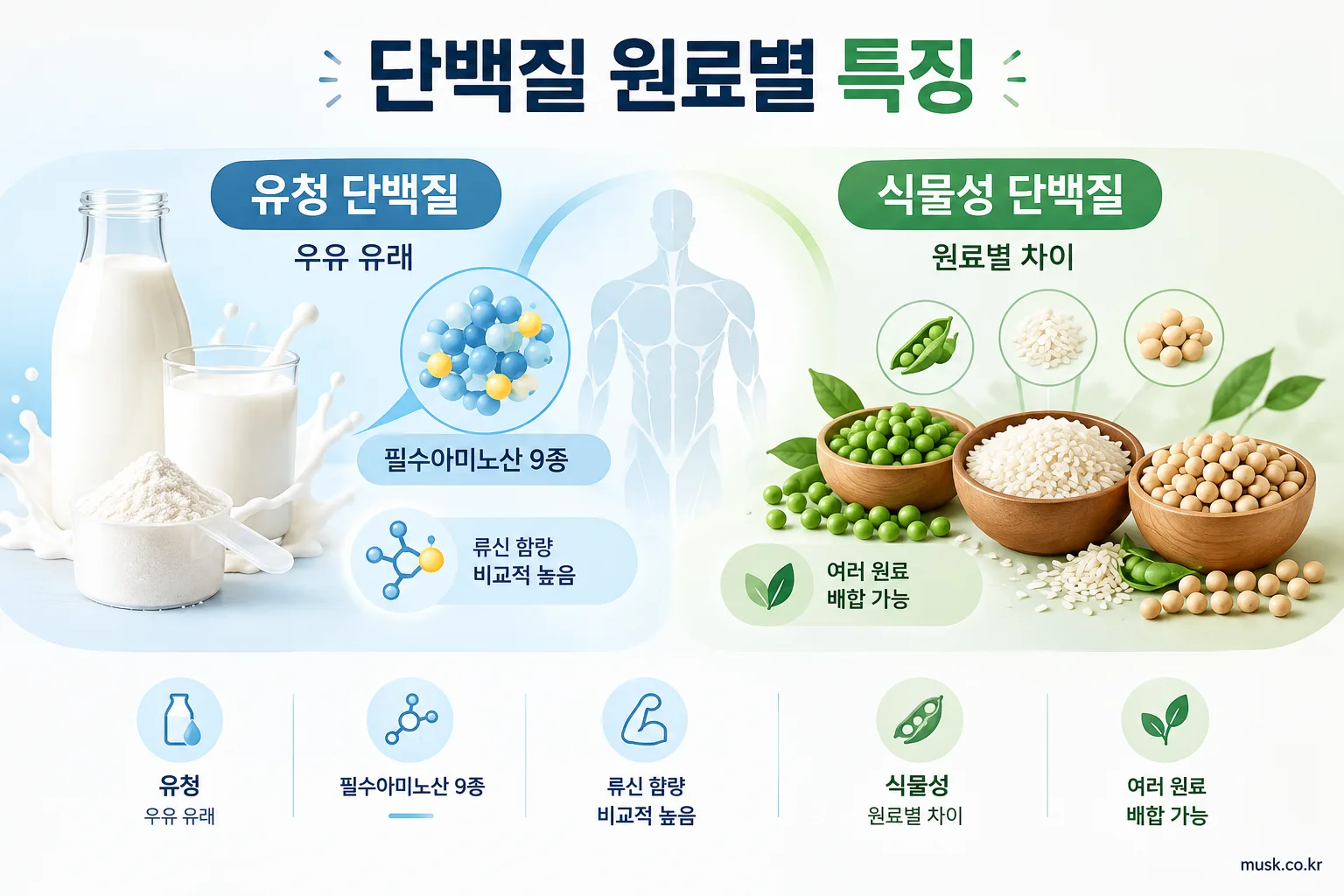 유청 단백질과 식물성 단백질의 원료와 아미노산 특징 비교