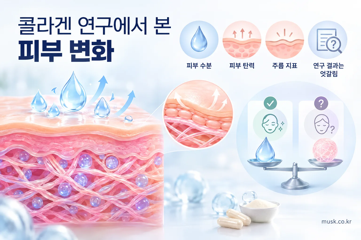 콜라겐을 먹으면 피부 건강에 도움이 될까? 2 콜라겐 연구에서 확인된 피부 수분과 탄력 변화