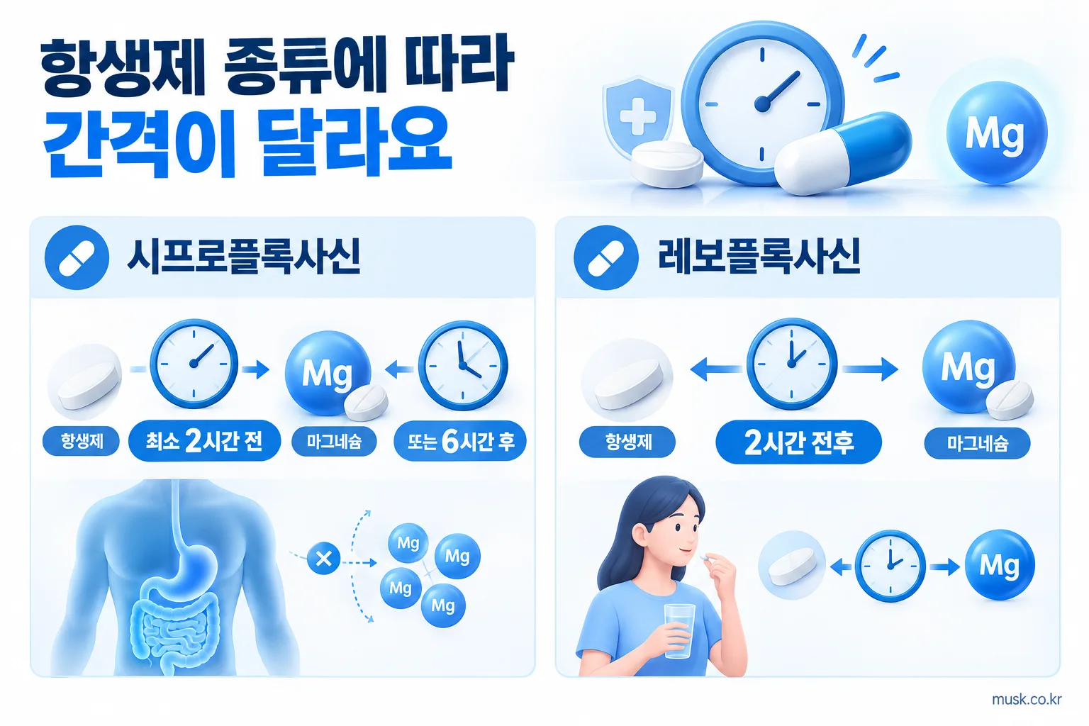 마그네슘과 항생제는 몇 시간 간격으로 먹어야 하나 2 시프로플록사신과 레보플록사신의 마그네슘 복용 간격 안내 이미지