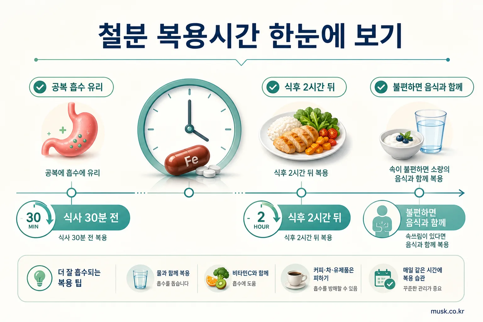 철분 공복에 먹어도 되나? 속쓰림이 있다면 복용시간 정하는 법 5 철분을 식사 30분 전 또는 식후 2시간 뒤에 복용하는 방법을 보여주는 인포그래픽