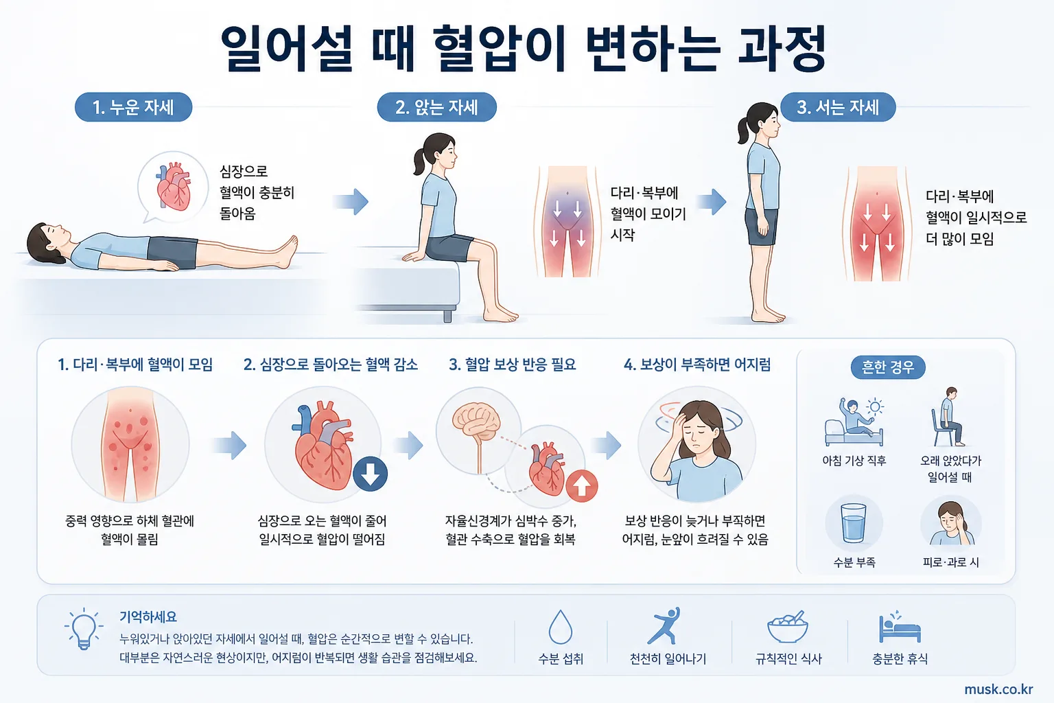 앉았다 일어날 때 어지러운 이유, 기립성 저혈압부터 확인하세요 5 누워 있거나 앉아 있다가 일어설 때 혈액과 혈압이 변하는 과정