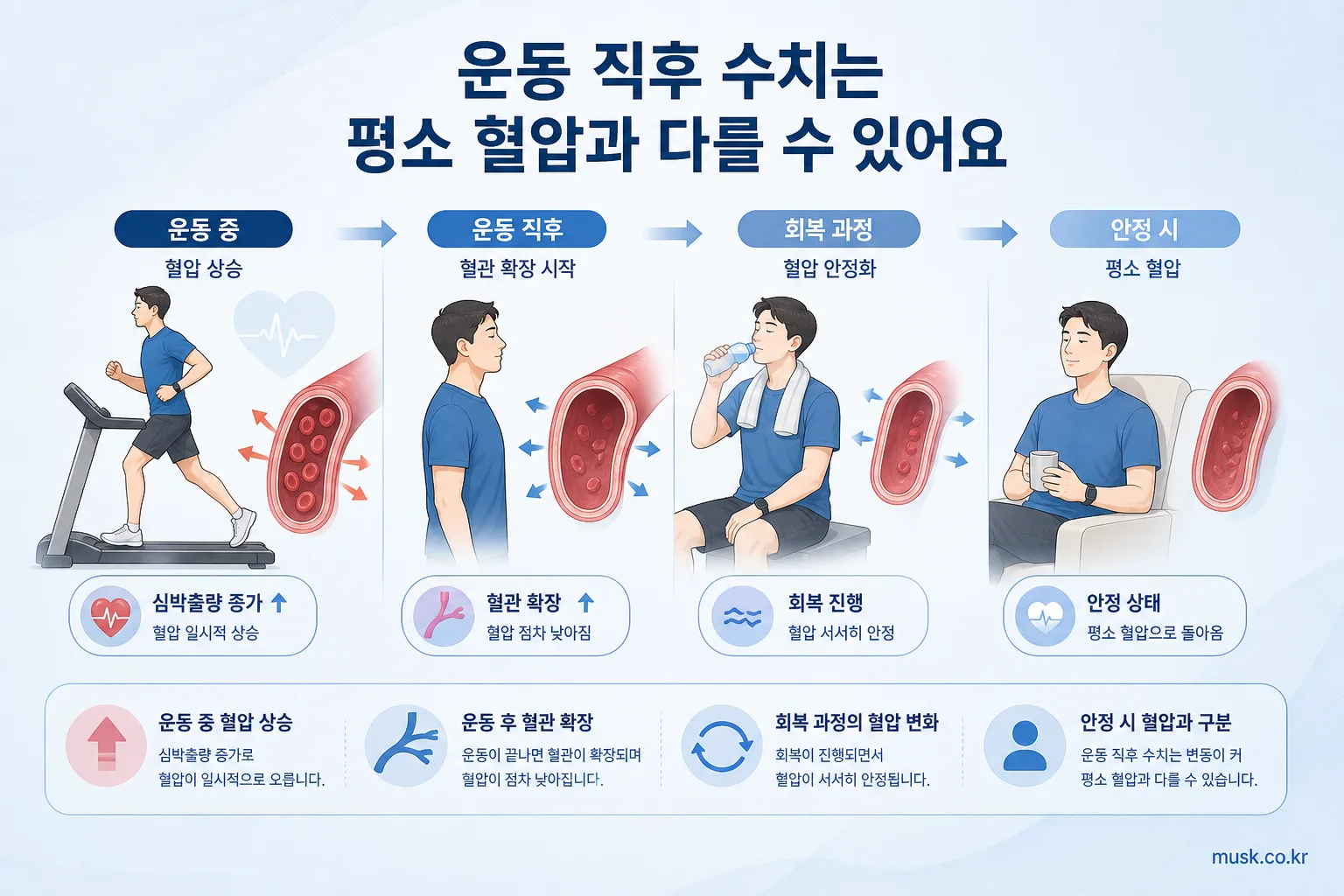 운동 후 혈압은 언제 재야 하나? 정확한 측정 시점과 방법 6 운동 중 혈압 상승과 운동 후 혈관 확장으로 혈압이 달라질 수 있음을 설명하는 그림