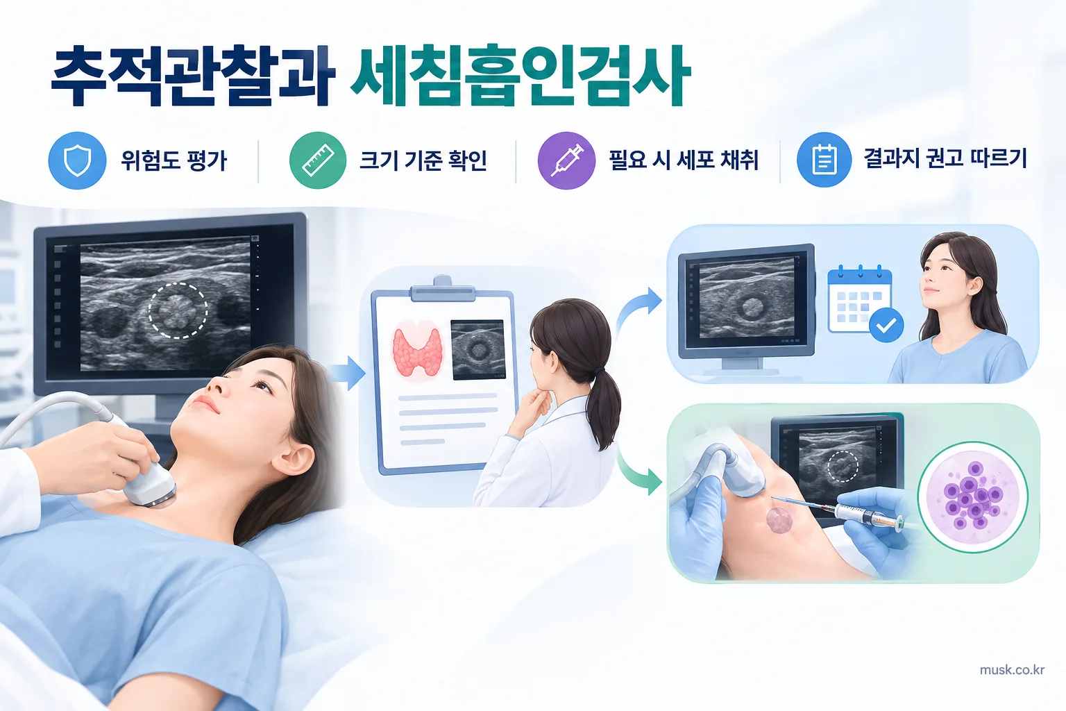 갑상선 초음파에서 결절이 보이면 무슨 뜻인가 3 갑상선 결절의 위험도에 따른 추적관찰과 세침흡인검사 과정을 보여주는 이미지