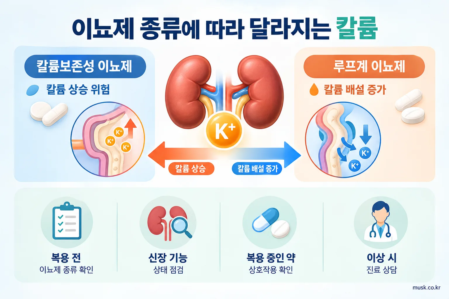 칼륨 영양제는 누구나 먹어도 될까? 신장 기능과 복용 약을 확인해야 하는 이유 3 이뇨제 종류에 따라 칼륨 수치에 미치는 영향이 다른 설명 이미지