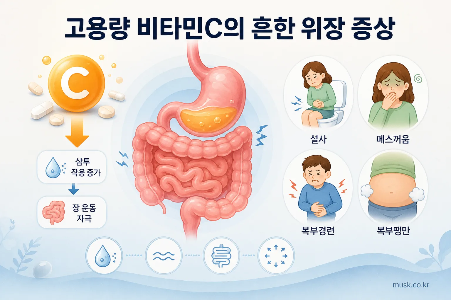 비타민C를 많이 먹으면 생기는 부작용, 설사와 복통이 나타나는 이유 5 고용량 비타민C로 나타날 수 있는 설사와 메스꺼움 등 위장 증상 인포그래픽
