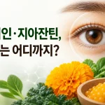 루테인과 지아잔틴의 눈 건강 근거를 설명하는 대표 이미지