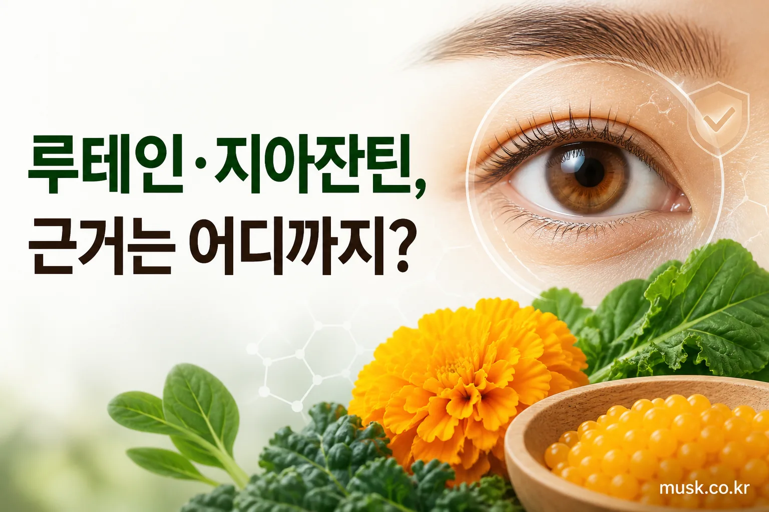 루테인과 지아잔틴의 눈 건강 근거를 설명하는 대표 이미지
