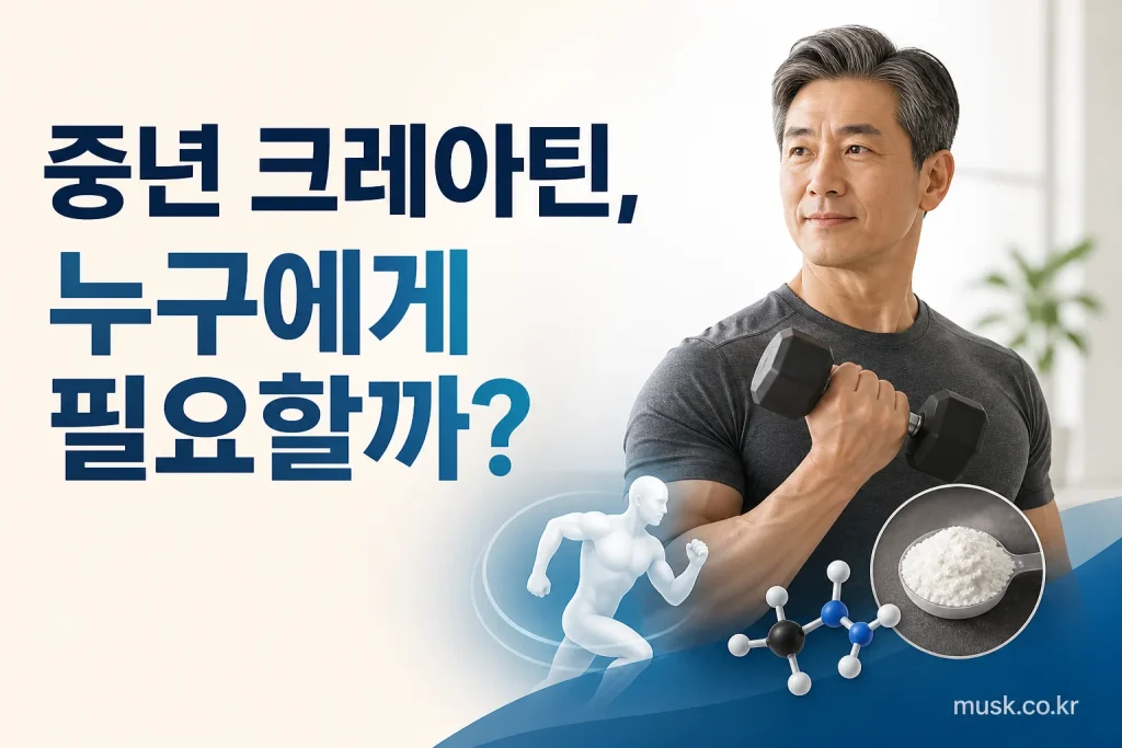 근력운동을 하는 중년층의 크레아틴 섭취 고려 사항