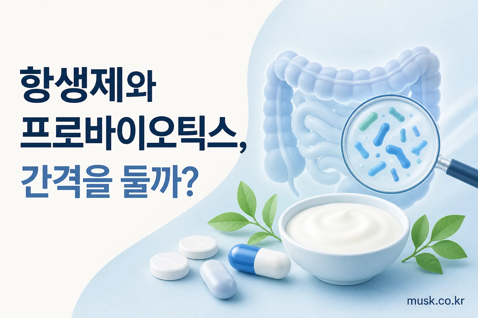 항생제와 프로바이오틱스의 복용 간격을 보여주는 이미지