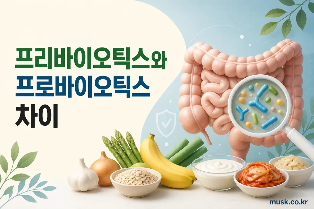 프리바이오틱스와 프로바이오틱스의 차이를 비교한 대표 이미지