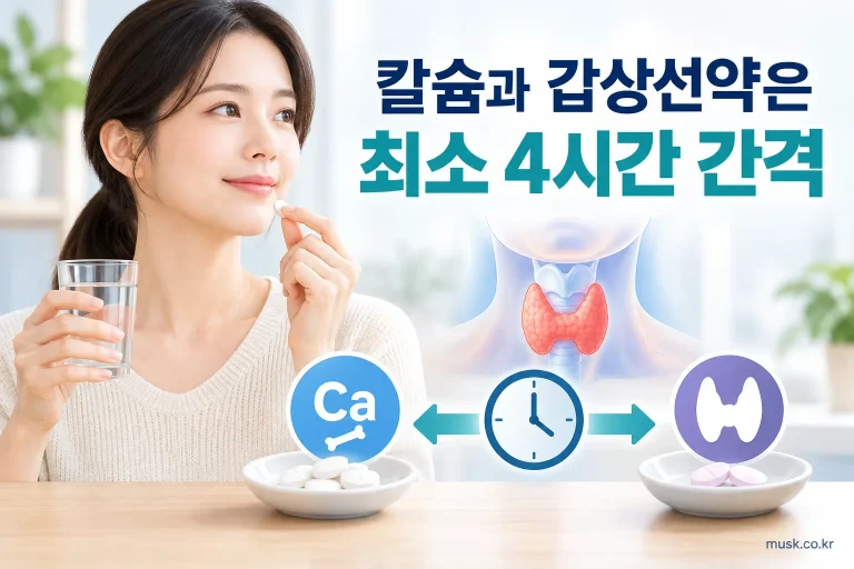 레보티록신과 칼슘 보충제를 최소 4시간 간격으로 복용하는 안내