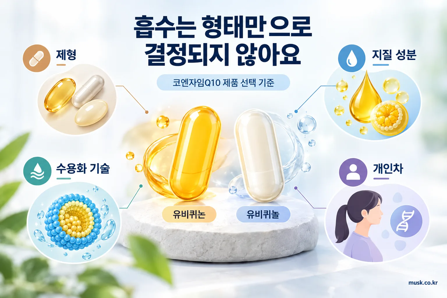 코엔자임Q10 흡수에 영향을 주는 제형과 지질 성분 및 개인차