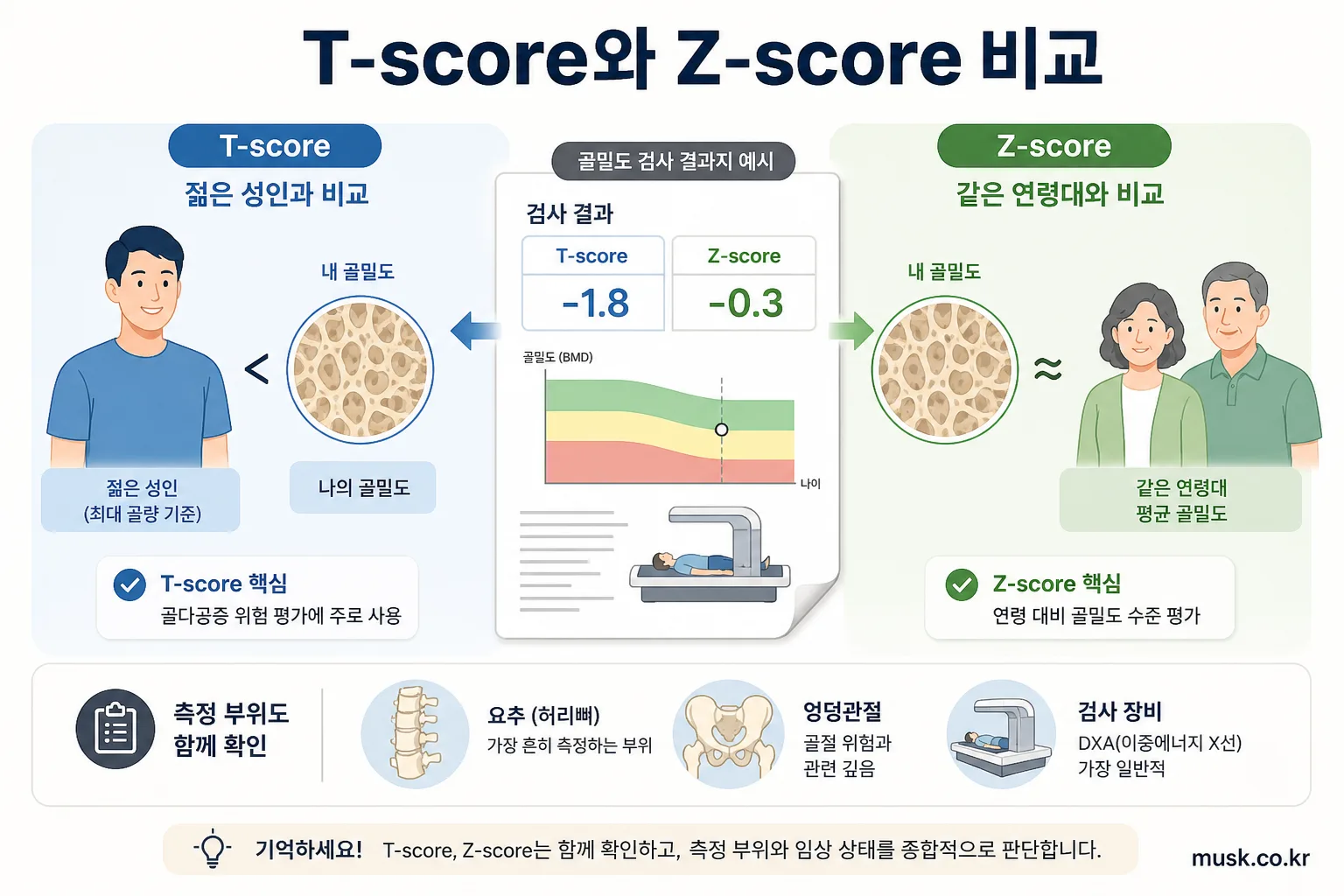 골밀도 검사 T-score는 무슨 뜻인가요? 3 젊은 성인과 비교하는 T-score와 같은 연령대와 비교하는 Z-score 설명 이미지