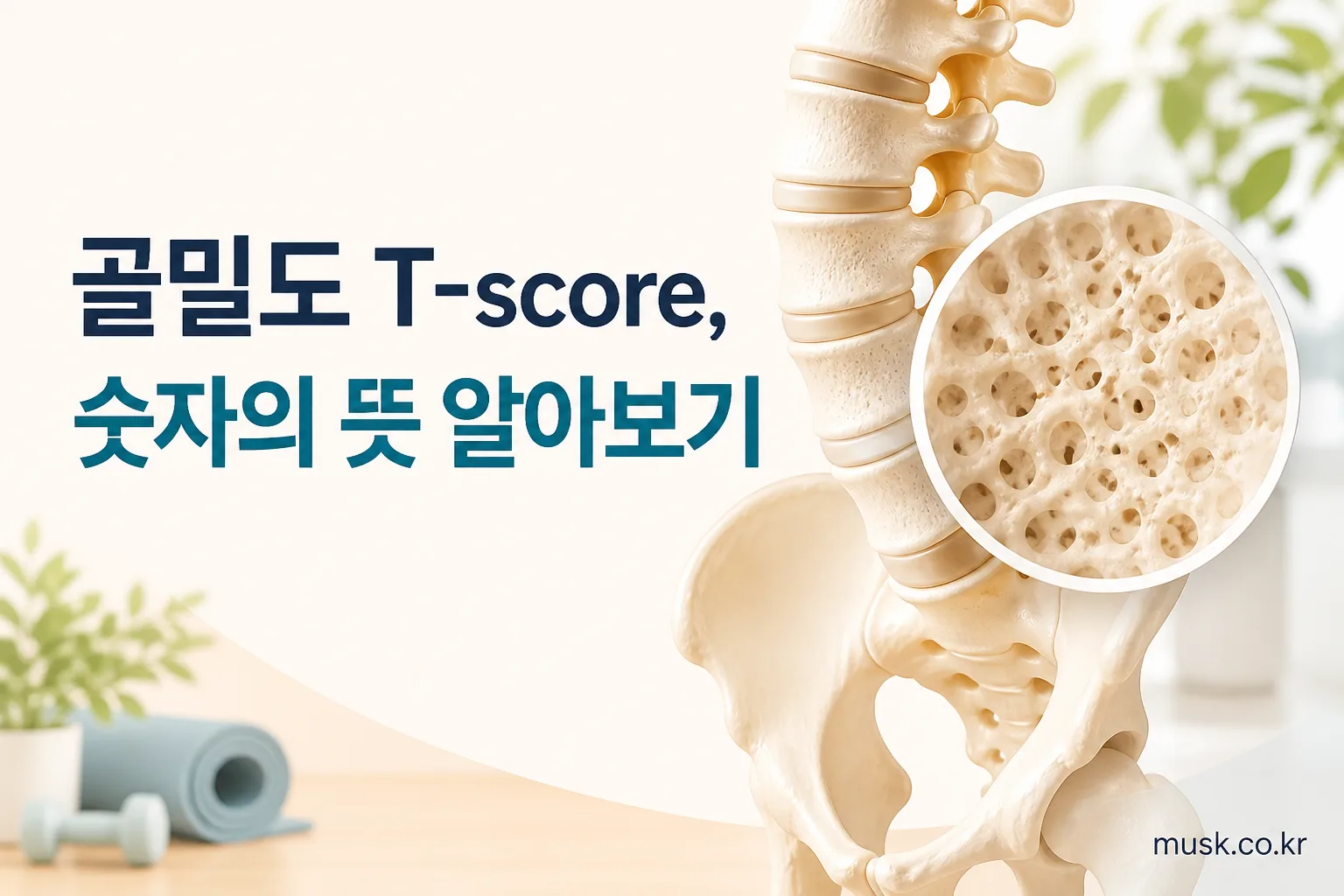 골밀도 검사 결과지의 T-score 의미를 확인하는 중년 남녀