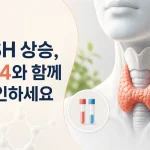 TSH 수치가 높으면 무슨 뜻인가요? FT4와 함께 해석하는 방법 2 TSH 상승 결과와 FT4 추가 확인을 설명하는 대표 이미지