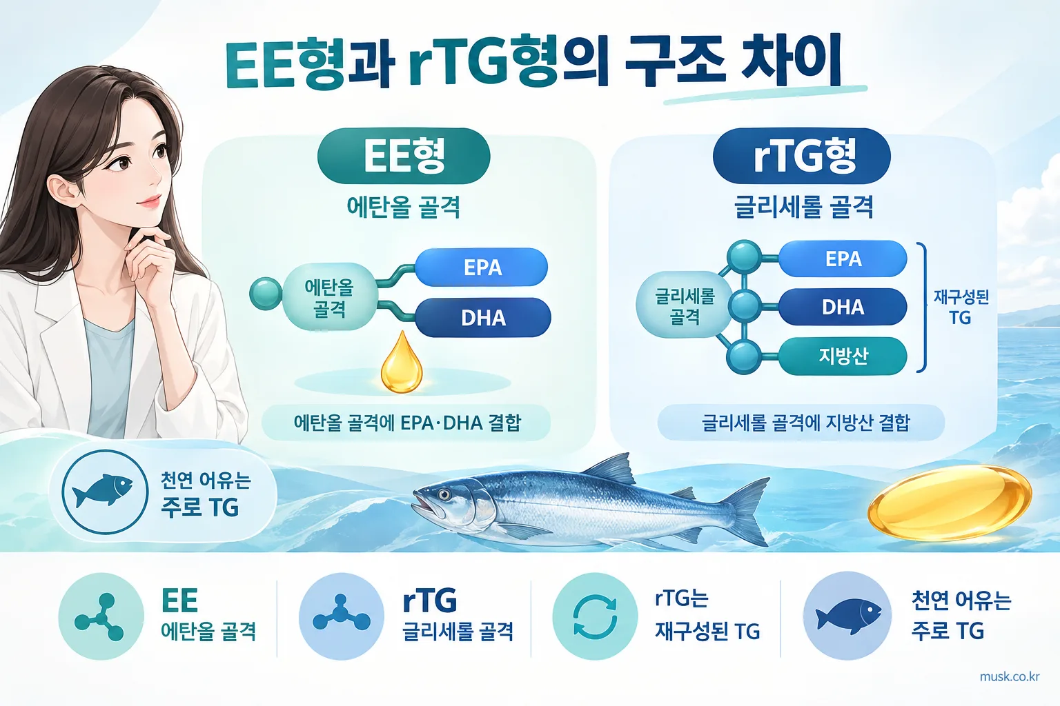 오메가3 EE형은 에탄올 골격, rTG형은 글리세롤 골격을 갖는다는 구조 비교 도식