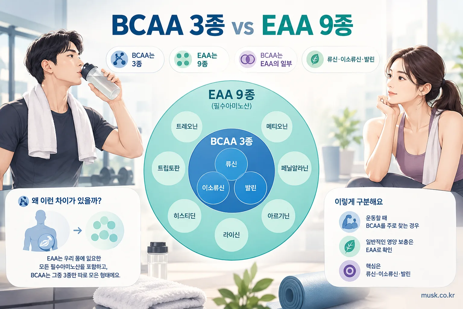BCAA 3종과 EAA 9종의 포함 관계를 보여주는 인포그래픽