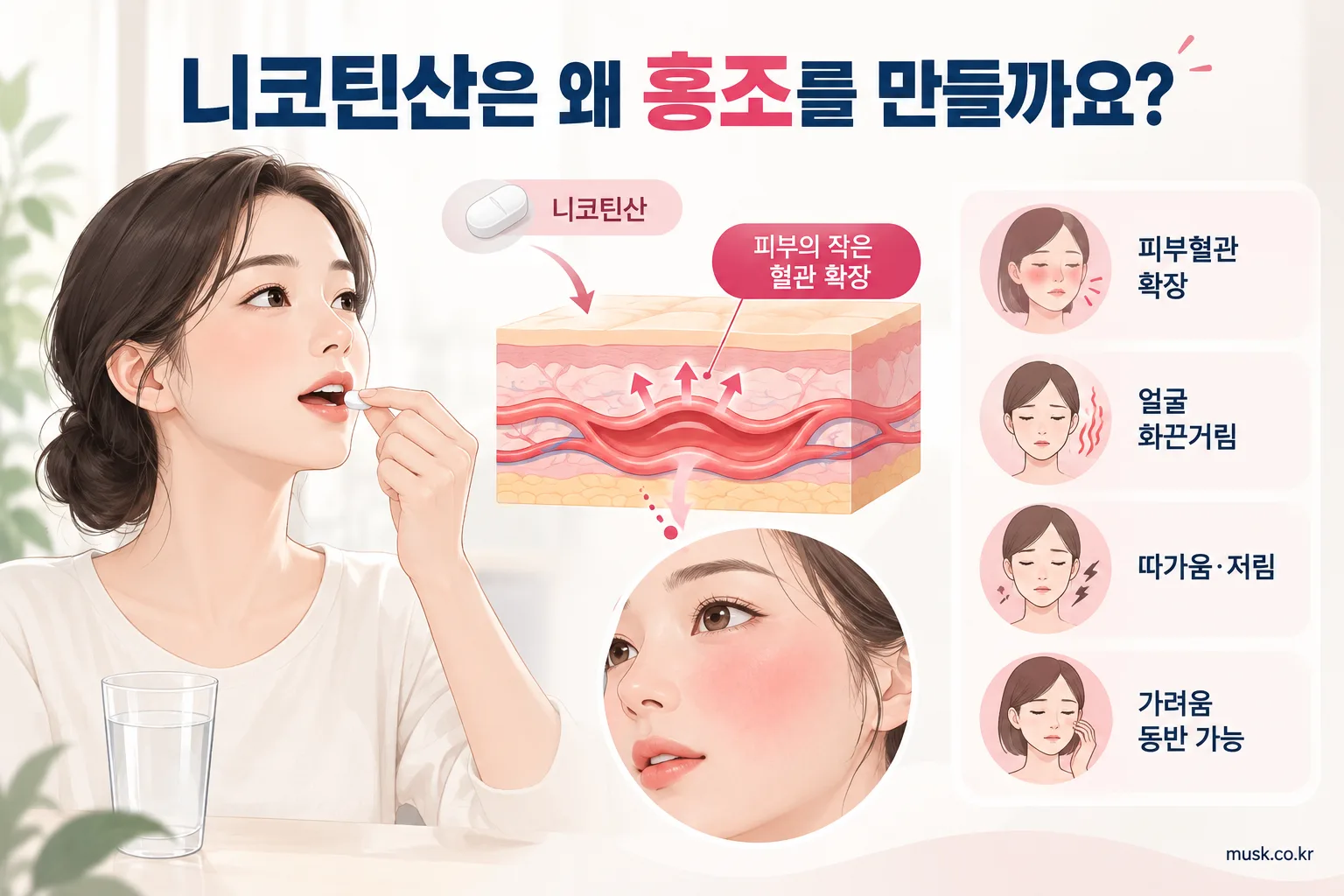 니코틴산이 피부혈관을 확장해 홍조를 일으키는 과정